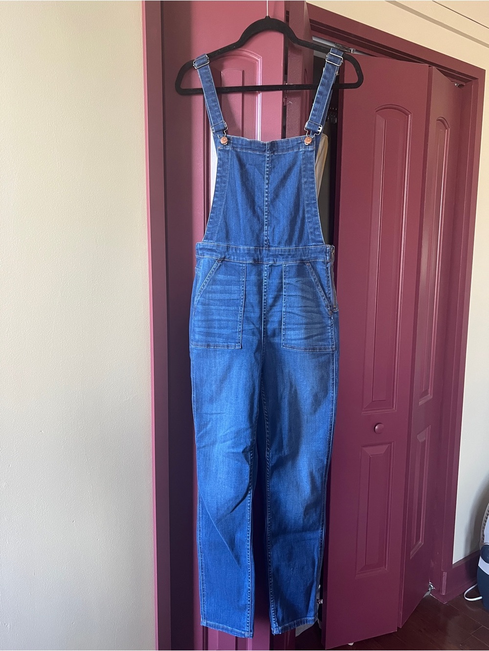 Madewell Skinny Overalls in Santiago Wash - Size Medium